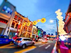 Royal At Chinatown (D1), Shop House #566807041